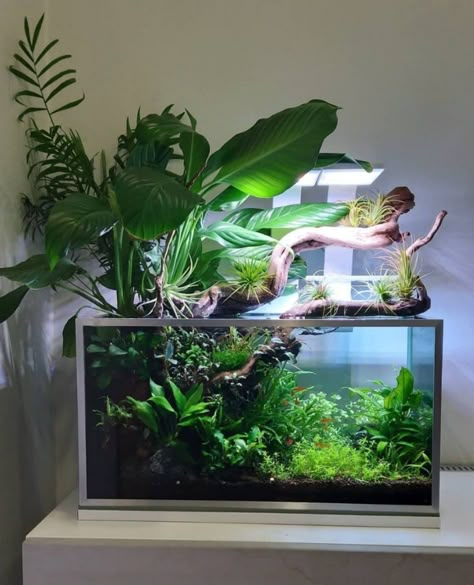 Buddha Fish Tank, Natural Betta Tank, Monstera In Aquarium, Monstera In Fish Tank, Paladarium Design, Aquascape Design Natural, Japanese Fish Tank, Aesthetic Fish Tank Ideas, Natural Fish Tank