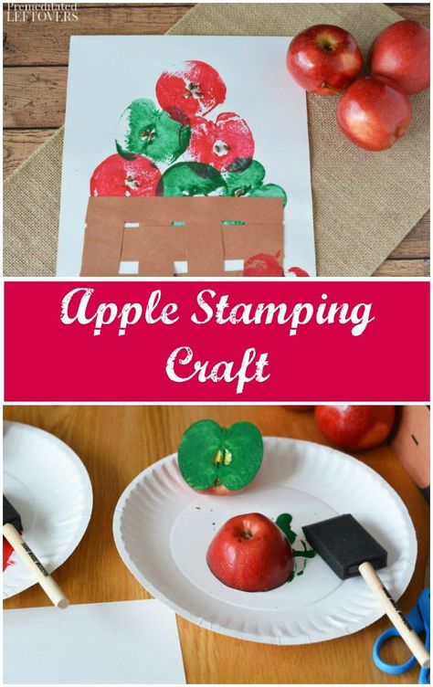 Apple Star Stamping Craft, Fall Time Preschool Crafts, Harvest On The Farm Crafts, Easy Toddler Fall Activities, Fall Preschool Themes Ideas, No Prep Crafts For Preschoolers, Apple Themed Toddler Activities, Apples Art Preschool, Harvest Theme Preschool Crafts