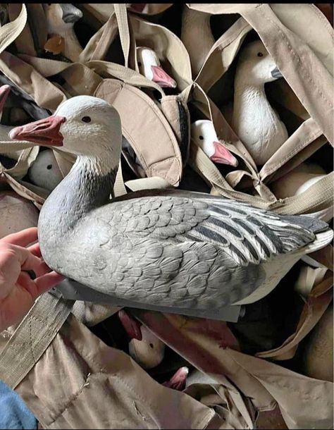 3 dozen ghg snow goose floaters don't come with weights or bags just decoys. Pm if only interested. $600 Snow Goose, If Only