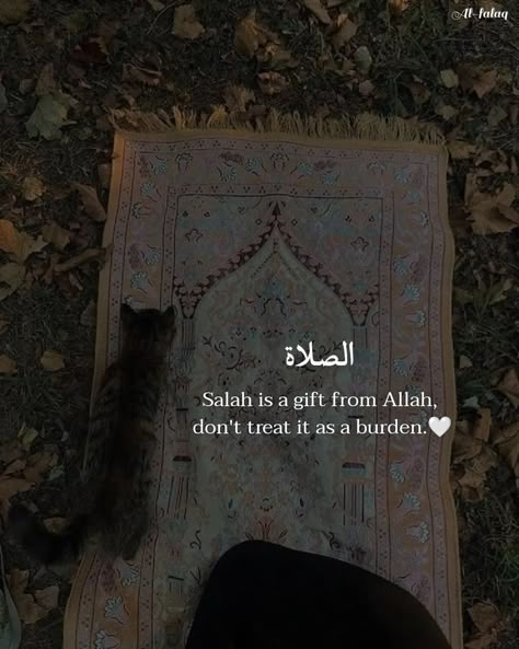 𝐀𝐥-𝐅𝐚𝐥𝐚𝐪 on Instagram: "𝐑𝐚𝐦𝐚𝐝𝐚𝐧 𝐃𝐚𝐲 13🌙🤍✨ . . Follow me @al_.falaq For daily Islamic Posts 💕💖 . . . . . . . . . . . . . . . . . . . 📸Credits to @al_.falaq…" Ramadan Day 13, Islamic Dp Quotes, Best Ramadan Quotes, Islam Aesthetic, Islam Ramadan, Alhumdulillah Quotes, Al Qur'an Aesthetic, Lonliness Quotes, Appreciate Life Quotes