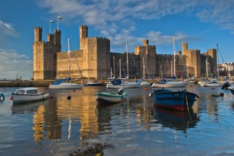 Pembroke Castle, Welsh Castles, Castles In Wales, Small Castles, Wales Travel, Uk Images, Snowdonia, A Castle, Medieval Castle