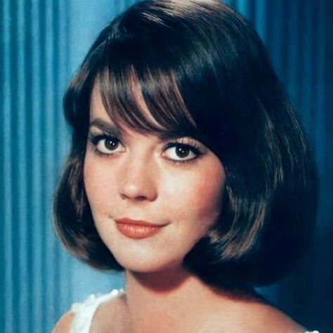 Natalie Wood on Instagram: "Natalie started the 1960s with high drama and musicals and then took on a few comedic roles - even of the slapstick kind.  It has been said that comedy is the most difficult acting genre but that didn’t matter.  Natalie always challenged herself to improve whether it be on film or in life and encouraged others to do the same too.   #nataliewood #lamourmere #nataliefragrance #splendorinthegrass #westsidestory #gypsy #sexandthesinglegirl #penelope #drama #musicals #comedy #classicmovies #classicmoviestars #nataliewoodwhatremainsbehind #morethanlovebook" Natalie Wood Makeup, Natalie Wood Hair, Life Drawings, Old Hollywood Actresses, Splendour In The Grass, More Than Love, Natalie Wood, Classic Movie Stars, West Side Story