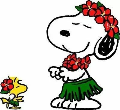 Did you know that Magnesium Deficiency is one of the leading nutrient deficiencies in adults? Causes, Symptoms, Diseases linked to, Foods & Supplements. Snoopy Dancing, Snoopy Dance, Hula Dance, Snoopy Funny, Snoopy Images, Peanuts Cartoon, Peanuts Snoopy Woodstock, Peanuts Characters, Snoopy Wallpaper