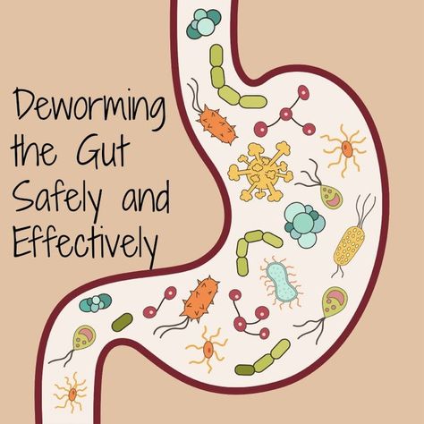 Some natural deworming methods that work and are safe for eliminating parasites from the gut. It is even safe enough for children. #humans #health #kids #children #healthygut #deworming #thehealthyhomeeconomist Parasitic Worms, Intestinal Parasites, Parasite Cleanse, Leaky Gut, Natural Health Remedies, Alternative Health, Back To Nature, Natural Home Remedies, Natural Medicine