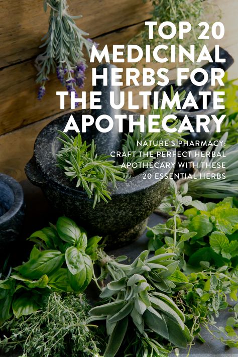 top 20 medicinal herbs for the ultimate apothecary Herbs For Survival, Growing Medicinal Herbs, Apothecary Beginner, Home Herbal Apothecary, Herbal Decor, Herbs For Medicinal Purposes, Lymph Detoxification, Medicine Herb Garden, Medicinal Herbs Aesthetic