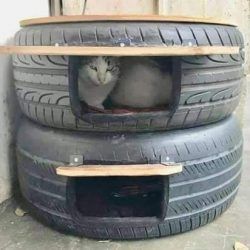 Posted November 20, 2018 The photo below has made the rounds on social media showing how old tires can be made into cat beds for feral cats. The discussion topic for today is whether or not old automobile tires make a safe cat bed for feral cats or should they be avoided. Outside Cat House For Winter, Tire Cat House Outdoor, Farmhouse Updates, Outside Cat House, Outdoor Cat Shelter, Feral Cat Shelter, Feral Cat House, Katt Grejer, Chat Diy