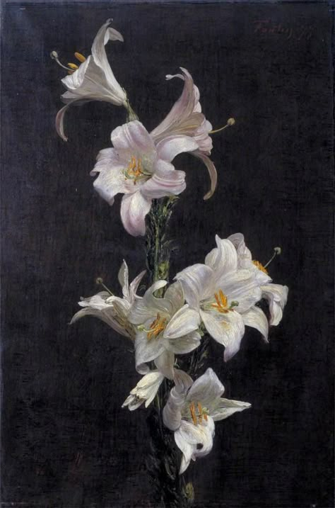 Henri Fantin-Latour - White Lilies, 1877 Famous Flower Paintings, Fantin Latour, Henri Fantin Latour, Lily Painting, Flowers In A Vase, Still Life Paintings, Arte Sketchbook, Life Paintings, White Lilies