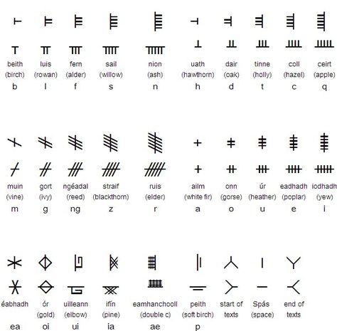 Ogham, The Ancient Irish "Tree" Alphabet Ogham Tattoo, Tree Ogham, Tree Alphabet, Celtic Ogham, Celtic Symbols And Meanings, Celtic Alphabet, Ogham Alphabet, Ancient Irish, Ancient Alphabets