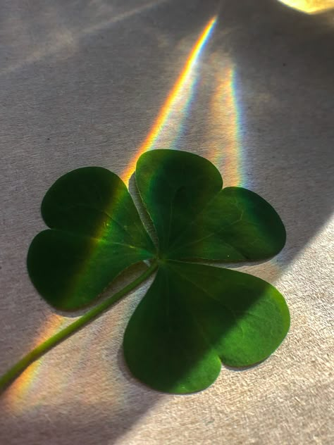 Luck Aesthetic, March Vision Board, Lavender Ideas, Zen Wallpaper, St Patricks Day Wallpaper, Mobile Tricks, Clover Tattoos, Day Wallpaper, Instagram Feed Ideas