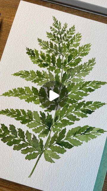 How To Paint Ferns, How To Paint Ferns Acrylic, Fern Painting Acrylic Simple, Watercolor Moss, Fern Leaf Painting, Watercolor Ferns Paintings, Fern Painting, Watercolour Ferns Leaves, Fern Watercolor