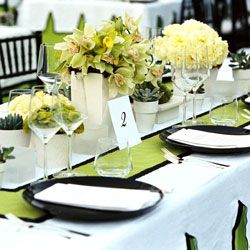 Black,white, and lime green - I like the color combo. Green Table Settings, Green Themed Wedding, Green Orchid, Pittsburgh Wedding, Beautiful Table Settings, Pittsburgh Weddings, Green Table, White Table Cloth, Wedding Table Settings