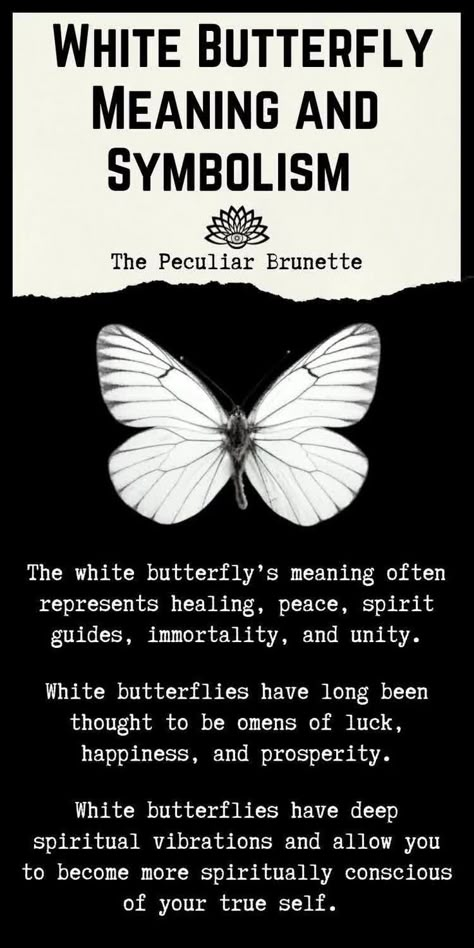 Madussa Meaning, White Butterfly Spiritual Meaning, White Butterfly Meaning, White Meaning, Butterfly Symbol, Butterfly Meaning, Winter Hibernation, Animal Meanings, Tattoos Black Women