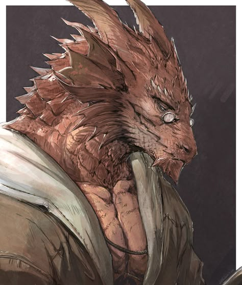 Dnd Dragonborn, Dnd Npc, Dnd Character Ideas, Dungeons And Dragons Classes, D D Character Ideas, Dnd Dragons, Roleplay Characters, Fantasy Races, Dungeons And Dragons Characters