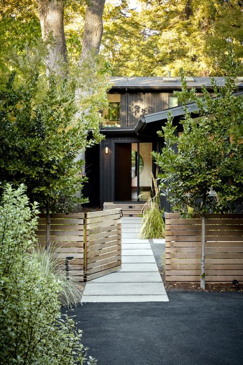 Japandi Yard - Shades of Green Landscape Architecture Japandi Yard, Japandi House Exterior, Japandi Exterior, Japandi Garden, Japandi House, Black Architecture, Northwest Landscaping, Muted Palette, Front Yard Design