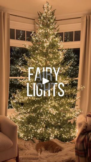 56K views · 171 reactions | I hung 5,760 twinkle fairy lights on our Christmas tree!!! 🌲🧚🏻✨ 
This took forever and I’m already DREADING taking them off but I’ve never seen anything more magical and will never not have them on our tree. Luke is obsessed too. I don’t even want to add ornaments it’s so beautiful!!!! 🥹 My lights are from @anthropologie. I used 6 strands on a 9ft. tree. They’re linked in my LTK as well as some more affordable options from Amazon with GREAT reviews! ✨ | Mary Beth Wilhelm Ornament With Fairy Lights, Just Lights Christmas Tree, Twinkle Lights On Christmas Tree, Twinkle Lights For Christmas Tree, Christmas Tree Only Lights, Twinkle Lights Christmas Tree, Christmas Tree Just Lights, Christmas Tree With Fairy Lights, Christmas Tree Fairy Lights