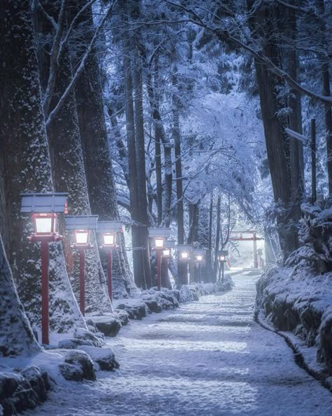 Winter Hanfu, Ancient China Aesthetic, Winter In Japan, Wallpapers Christmas, Japan Winter, Surreal Photos, Demon Slayer Oc, Snowy Forest, Aesthetic Japan