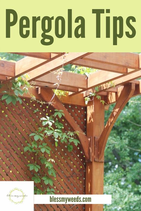 Covered Pergola Patio, Backyard Covered Patios, Diy Gazebo, Cheap Pergola, Backyard Shade, Building A Pergola, Pergola Attached To House, Wood Pergola, Backyard Pergola