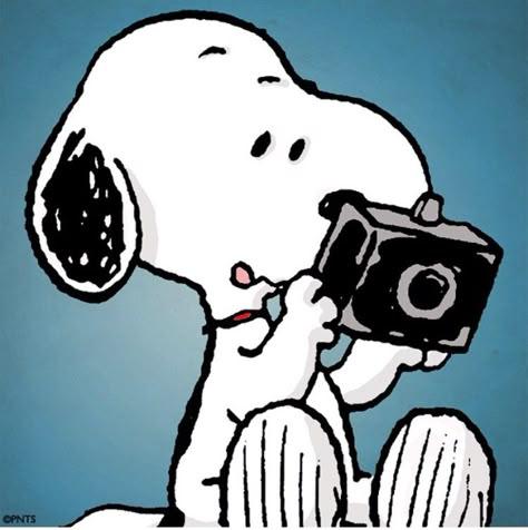 Snoopy camera Charles Shultz, Fun Snaps, Snapchat Add, Woodstock Snoopy, Baby Snoopy, Snoopy Dog, Snoopy Cartoon, Peanut Gang, Snoopy Funny