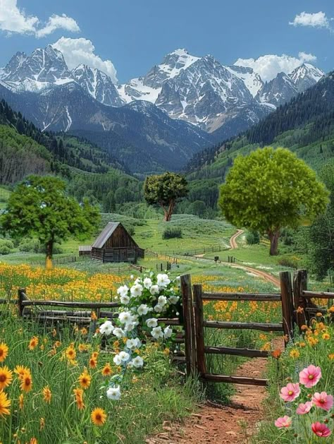 House In Flower Field, Austrian Countryside, Farm Scenery, Casa Hobbit, Beautiful Countryside, Nordland, Pretty Landscapes, Wooden Fence, Beautiful Mountains