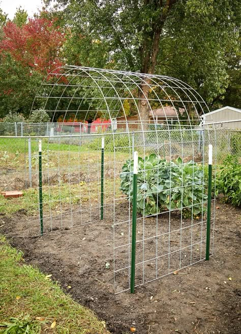 Bean plants climb and cover anything in their path, but can sometimes look messy and tangled. Try making this arched bean trellis for your garden to give them a structured path to follow for a tidier look. #beantrellis #landscaping #gardendesign #gardeningideas #bhg Bean Trellis, Diy Garden Trellis, Outdoor Fire Pit Designs, Driftwood Art Diy, Garden Arches, Fire Pit Designs, Patio Decorating Ideas On A Budget, Garden Art Sculptures Diy, Diy Outdoor Kitchen