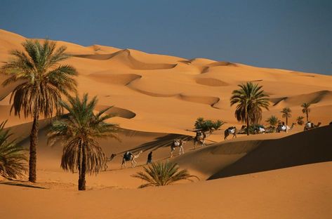 Sahara Desert Photography, Desert Habitat, Desert Background, Desert Photography, Desert Oasis, Padang, Natural Phenomena, Fishing Villages, The Dunes