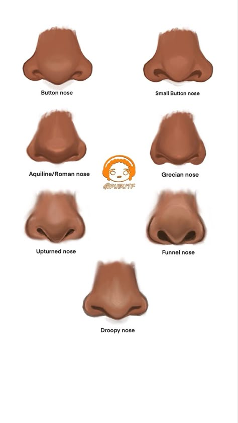 Different types of noses like Roman, funnel, button for a nose tiktok challenge that DubUTF created Nose Size Chart, Nose Types Front View, Drawing Black Noses, Aquiline Nose Drawing, Arched Nose Front View, Nose Types Chart, Nose Types Shape Names, Nose Piercing Drawing Reference, Hooked Nose Front View Drawing