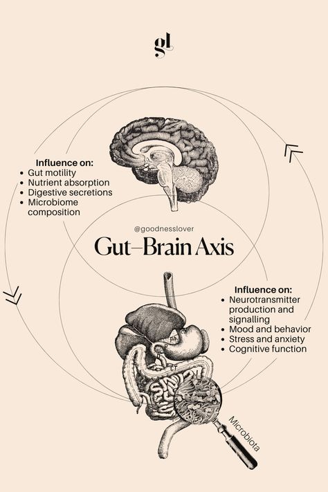 Did you know our gut health plays a major role in influencing our mental well-being? 🧠✨ From the food we eat to the complex network of neurons in our gut, it's a two-way street of communication between the gut and the brain. 🌿💭 Check out our post to discover the incredible connection shaping our mood, cognition, and overall health. 🌐 Gut Reset, Brain Connections, Gut Brain, Health Post, Hidden Key, Gut Feeling, Gut Healing, Health Knowledge, Holistic Nutrition