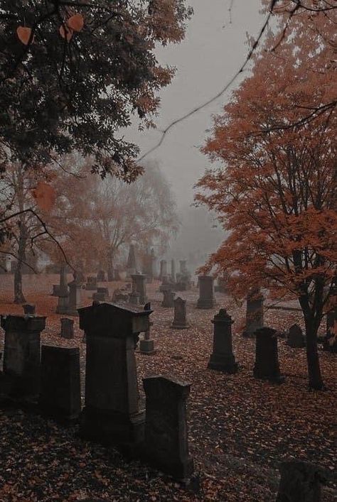 Aesthetic Graveyard, Graveyard Aesthetic, Old Cemetery, Aesthetic Character, The Legend Of Sleepy Hollow, Horror Aesthetic, Old Cemeteries, The Boogeyman, Dark Autumn