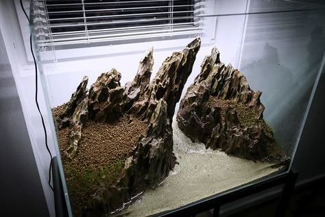 Cichlid Aquarium, Fish Aquarium Decorations, Amazing Aquariums, Fish Tank Terrarium, Aquascape Design, Fish Tank Design, Tropical Fish Tanks, Indoor Water Garden, Dragon Stone