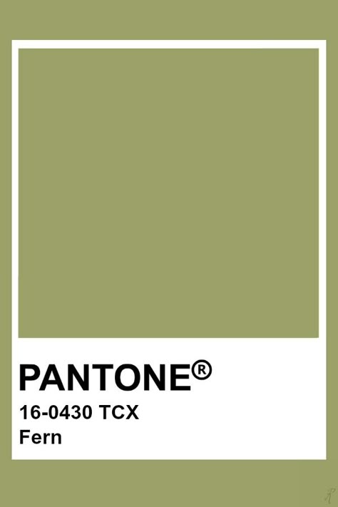 Pantone Fern Fern Color Palette, Fern Green Color Palette, Olive Pantone, Pantone Green Shades, Pantone Swatch, Pantone Green, Pantone Tcx, Pantone 2024, Pantone Color Chart