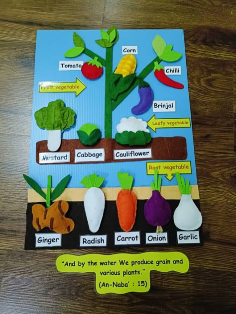 Vegetables poster by teacher Sarina Vegetable Chart For Preschool, Vegetable Projects For Kids, Plants Theme Board Ideas For Preschool, Vegetables Chart For Kids, Vegetable Chart For Kids, Vegetable Theme Preschool, Vegetable Art And Craft, Fruit And Vegetables Activities For Kids, Vegetables Activities For Preschool