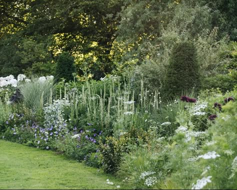 Modern Garden Landscape, Boarder Plants, Naturalistic Garden, Plant Palette, Herbaceous Border, Landscape Design Ideas, Dry Garden, Planting Design, Outside Garden