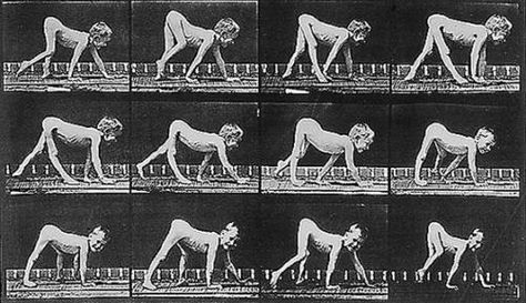 Animation Help, Sequence Photography, Louis Daguerre, Eadweard Muybridge, Single Book, Gif Terror, Illustration Reference, Animal Movement, Pet Monkey