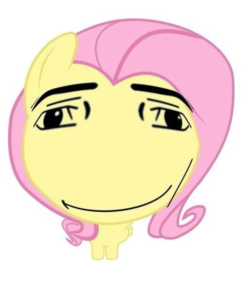 Flutter Shy, Mlp Funny, Mlp Memes, Pony Pictures, My Lil Pony, My Little Pony Pictures, Mlp My Little Pony, Fluttershy, Ponies