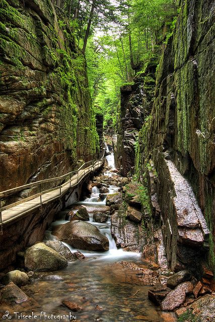 Flume Gorge - Franconia Notch State Park- New Hampshire Flume Gorge, Franconia Notch, The Oregon Trail, Color Pictures, Playing Card Deck, White Mountains, Card Deck, Vacation Places, Playing Card