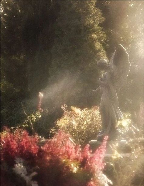 Angel Garden, An Angel, Secret Garden, In The Middle, A Garden, The Middle, Trees, Angel, Statue