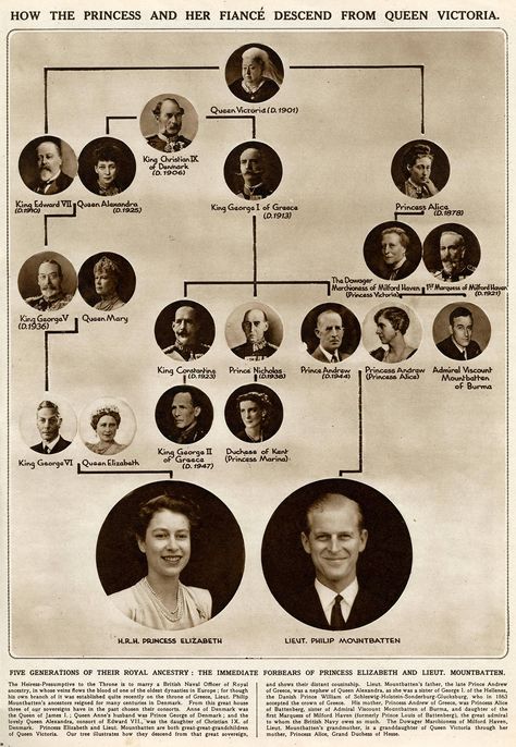 Both Queen Elizabeth II and Prince Philip, can call Queen Victoria, "Great-Great-Grandmum," which makes them third cousins. Elizabeth II: Elizabeth is the great-granddaughter of King Edward VII, Queen Victoria's son. Philip: Philip's great-grandmother was Princess Alice, Queen Victoria's daughter. Victoria Of Hesse, Queen Victoria Family Tree, Victoria Family Tree, Vévodkyně Kate, Royal Family Tree, King George Ii, Queen Victoria Family, Royal Family Trees, Rainha Elizabeth Ii