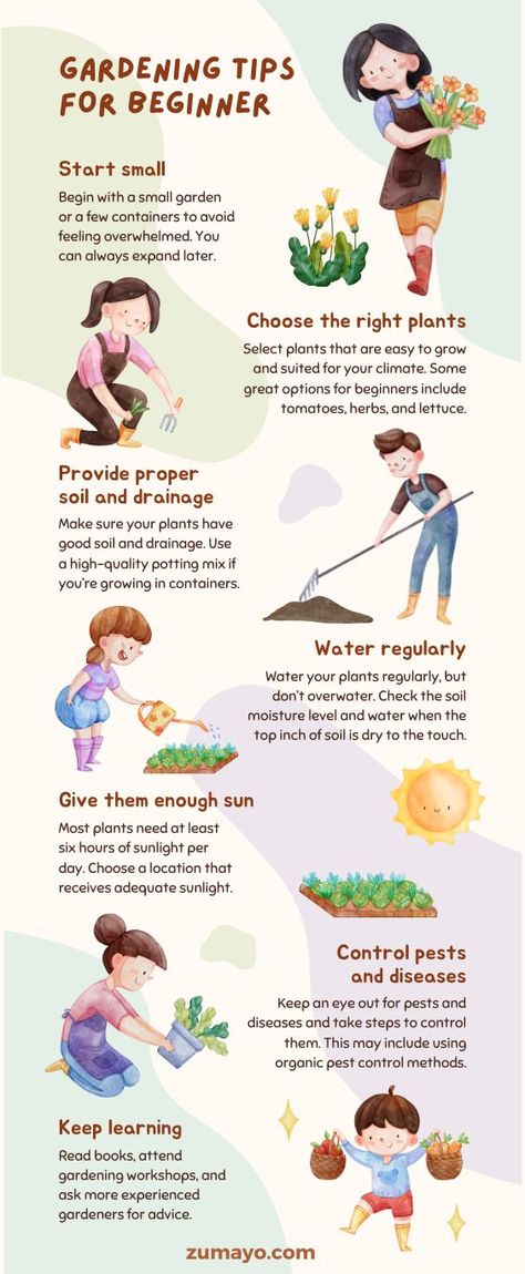 Gardening Tips for Beginners | Learn more with zumayo.com 😃For More: click on the above link👆 #plantcare #gardeningtips #gardenideas #gardenessentials #plantpower #zumayo #nature #plants #gardening How To Start A Garden For Beginners Flowers, Beginner Garden Layout, Garden Ideas Front Of House, Imagine Ideas, Vegetable Container Gardening, Farm Tools And Equipment, Beginner Garden, Easy To Grow Flowers, Planting Fruit