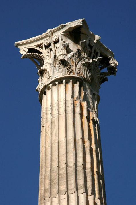 This is a Classically Styled Greek Corinthian Column Corinthian Order, Corinthian Columns, Architectural Orders, Taurus And Aquarius, Greek Columns, Greek Temple, Corinthian Column, Classical Period, Ancient Greek Architecture