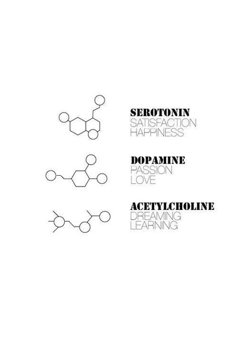 Serotonin Tattoo, Tattoo Vintage, Tato Henna, Tattoo Flowers, Hawaiian Tattoo, Flowers Tattoo, Hip Tattoo, Symbolic Tattoos, Trendy Tattoos