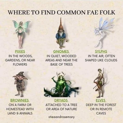 Fairy Mythical Creatures, Different Mythical Creatures, Fantasy Creatures Humanoid Types, Fantasy Earth Creatures, Good Mythical Creatures, Fairy Types Mythology, Different Kinds Of Fairies, Kinds Of Fairies, Mythical Creatures Fairy