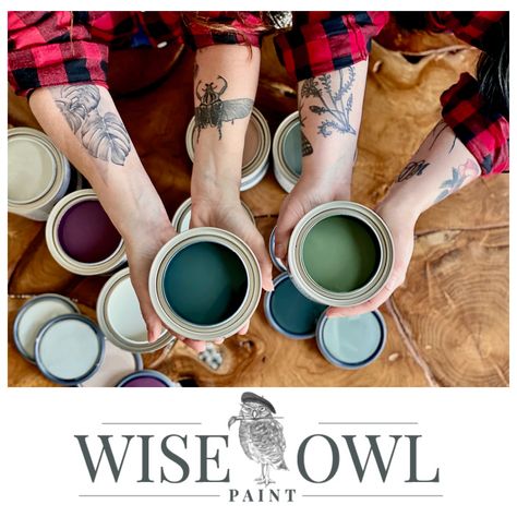 Salt Wash Paint, Wise Owl One Hour Enamel, Furniture Salve, Refinished Vintage Furniture, Kitchen Cabinet Painting, Wise Owl Paint, Cabinet Painting, Stencil Furniture, Furniture Flips