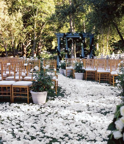 colin cowie wedding ceremony aisle Aisle With Petals, Rose Petal Aisle, Colonial Chic, Colin Cowie Wedding, Wedding Ceremony Traditions, Aisle Flowers, Enchanted Forest Wedding, Unique Wedding Decor, Bridal Guide