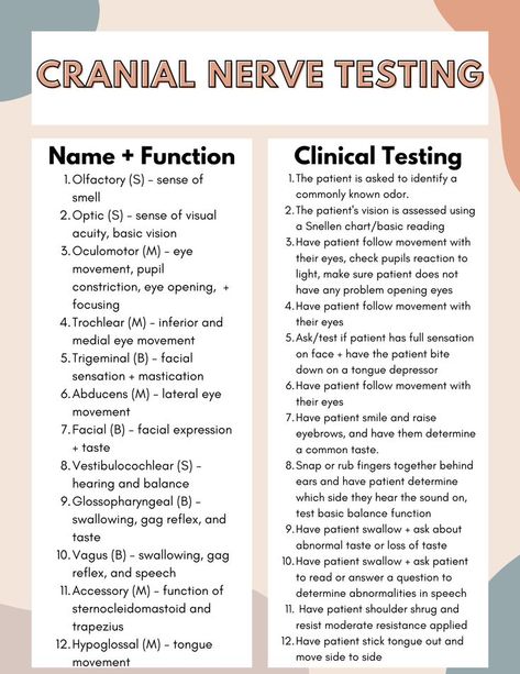 Sensory Perception Nursing, Physical Therapy Assistant Student Study, Occupational Therapy Assistant Student, Physical Therapist Assistant Aesthetic, Physical Therapy Student Notes, Neuro Occupational Therapy, Physiotherapy Student Notes, Physical Therapy Student Study, Concussion Assessment