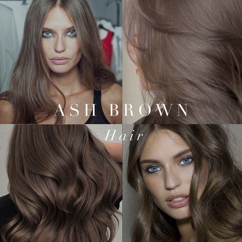 Cool toned hair inspiration from the Summer and Winter palettes 🤍 . #coloranalysis #winterpalette #summerpalette #coloranalyst #colouranalysis Medium Skin Hair Color, Brown Hair Palette, Cool Toned Hair, Light Ash Brown Hair Color, Palette Hair Color, Cool Tone Brown Hair, Cool Tone Hair Colors, Brown Hair Tones, Soft Hair Color