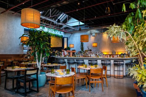 Brooklyn's 11 best new restaurants of 2022 - Brooklyn Magazine Best Bars In Brooklyn, Hotel Hoxton, Good Meals, Ramen Restaurant, Fulton Street, Bed Stuy, Romantic Restaurant, Wedding Moodboard, Family Restaurants