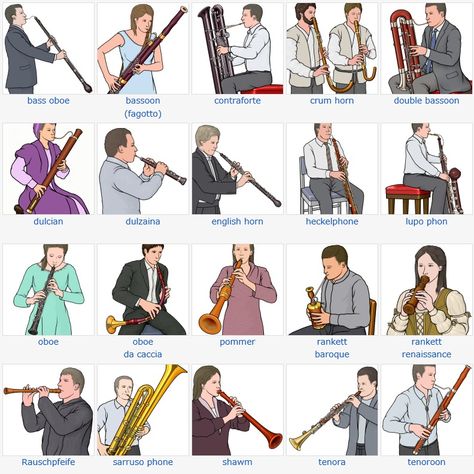 Basson Instrument, Woodwind Family, Musical Instruments Clipart, Orchestra Instruments, Oboe Reed, Music Basics, Piano Sheet Music Letters, Music Terms, Magic Illusions