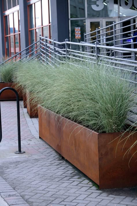 Steel Planter Boxes Landscaping, Grass Planter Boxes, Grasses In Planters, Raised Planters, Miscanthus Sinensis, Large Outdoor Planters, Corten Steel Planters, Trough Planters, Large Flower Pots