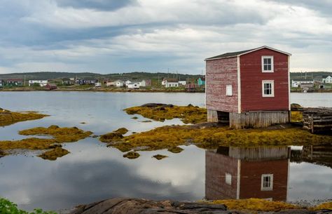 Fogo Island is one of the best places to visit in Newfoundland! Here are the best things to do on Fogo Island including Fogo Island hiking, the Fogo Island Inn, restaurants in Fogo, and where to stay in Fogo. #Newfoundland #Canada Fogo Island Newfoundland, Fogo Island Inn, Fogo Island, Gros Morne National Park, Newfoundland Travel, Grand Falls, Newfoundland Canada, Trip Itinerary, Road Trip Itinerary