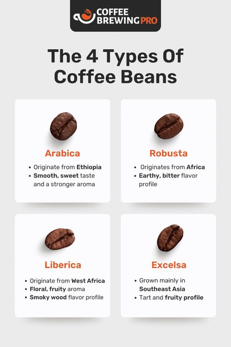 The 4 Different Types Of Coffee Beans Explained Coffee Chart, Types Of Coffee Beans, Coffee Infographic, Types Of Coffee, Coffee Guide, Coffee Facts, Roasted Coffee Beans, Coffee Drink Recipes, Classic Cocktail